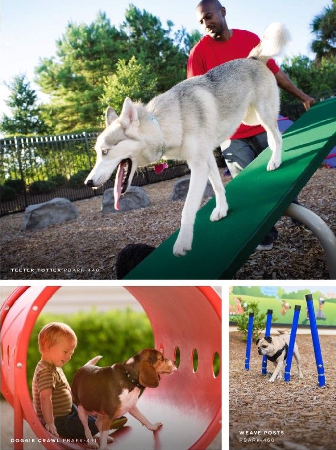 Dog Park Equipment, Dog Park Design